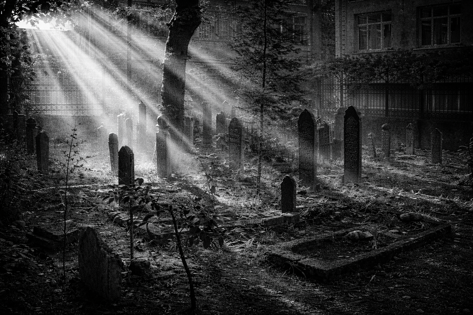 Kabakulak Tekkesi Rölöve, Restitüsyon, Rekonstrüksiyon ve Uygulama Projeleri